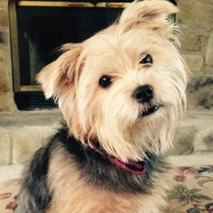 Meet your Posher, Regina